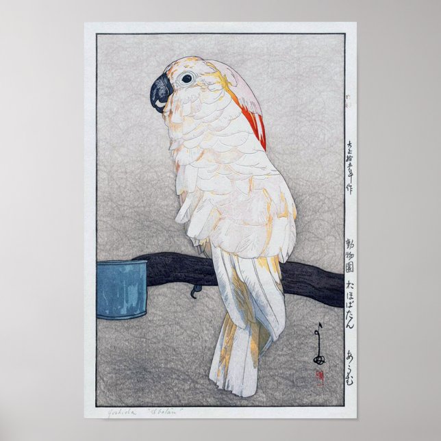 Affiches オ タ オ オ, ム, cockatoo à crête Saumon, Yoshida (Devant)