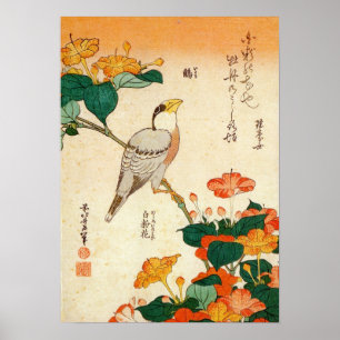 Affiches オ   小 ロ, 北 Bird et Mirabilis Jalapa, Hokusai