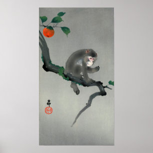 Affiches 柿 に 猿, 古 邨 singe sur l'arbre Persimmon, Ohara Koso