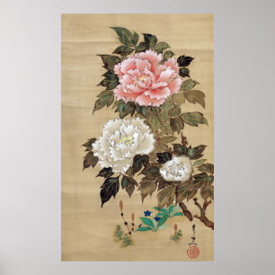 Affiches 牡 丹, 其 一 Peony, Kiitsu, Japon Art