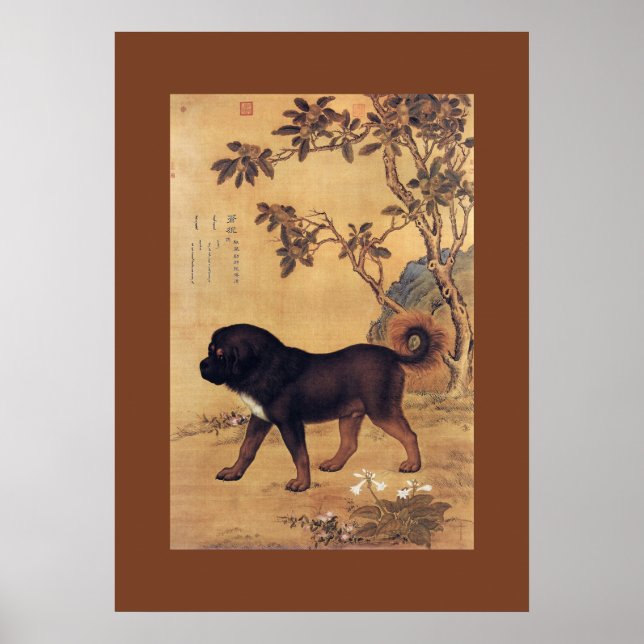 Affiches 猊 苍 Cangni ~ Mastiff Tibétain ~ Giuseppe Castiglio (Devant)