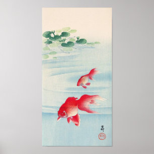 Affiches 睡 蓮 と 金 魚, 古 Lys d'eau et poissons d'or, Ohara Kos