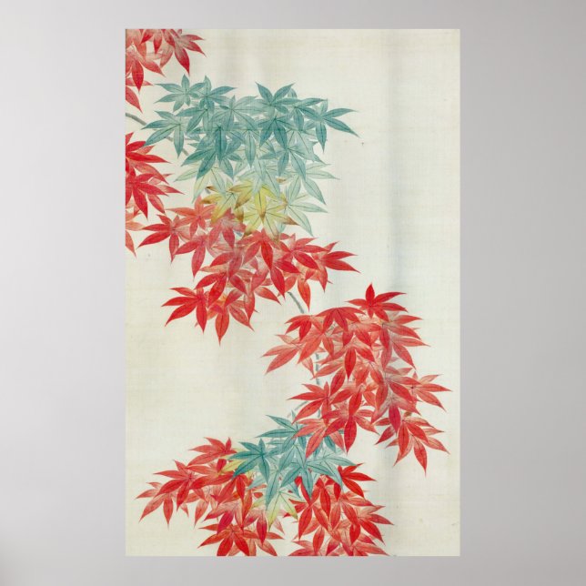 Affiches 紅 葉, 其 一 érable japonais, Kiitsu (Devant)