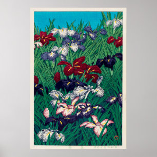 Affiches 菖 蒲, Iris, Hasui Kawase, Woodcut