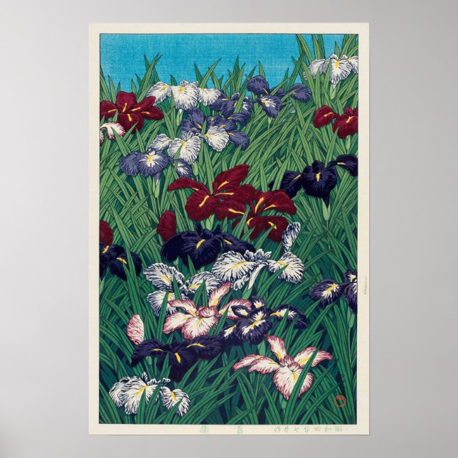 Affiches 菖 蒲, Iris, Hasui Kawase, Woodcut (Devant)