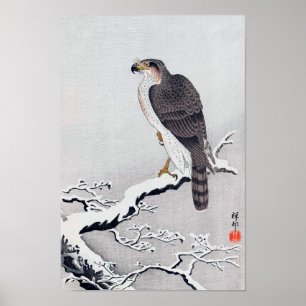 Affiches 雪 に 鷹, 古 邨 Hawk sur la branche couverte de neige, 