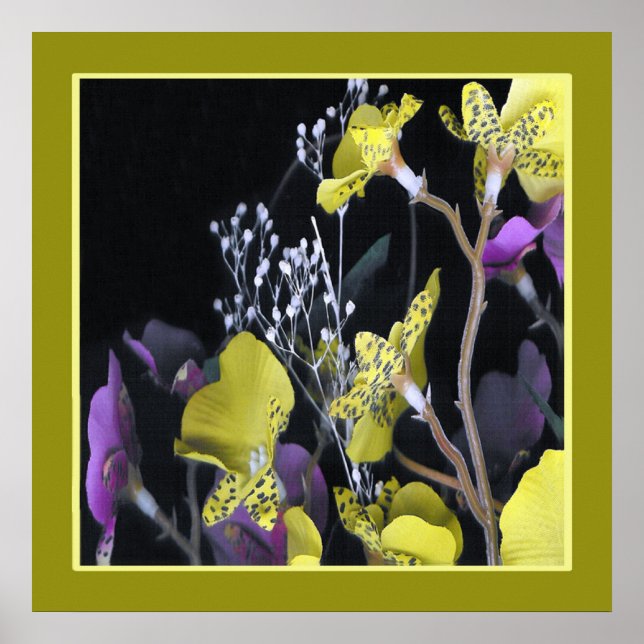 Affiches 07ty05a. (Devant)