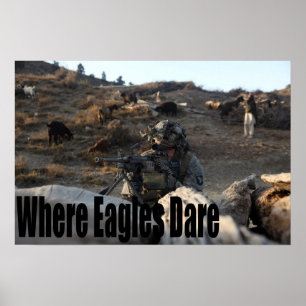 Affiches 101e Airborne