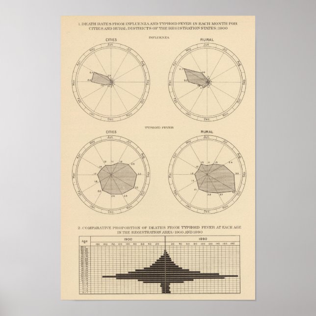 Affiches 117 Grippe mortelle, fièvre typhoïde 1900, 1890 (Devant)
