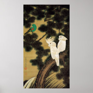 Affiches 12. 老松鸚鵡図, 若冲 Pine-tree & Parrot, Jakuchū