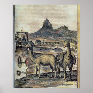 Affiches 137-0627924 illustration d'une histoire du Pérou