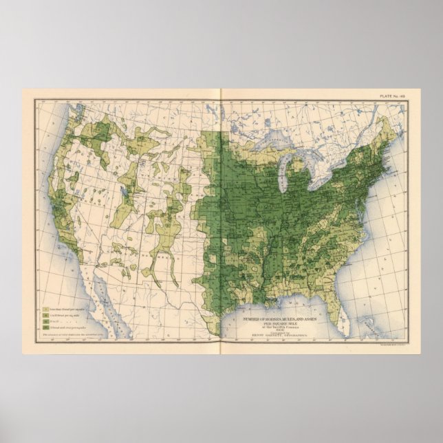 Affiches 149 Chevaux, mules, ânes/km² (Devant)