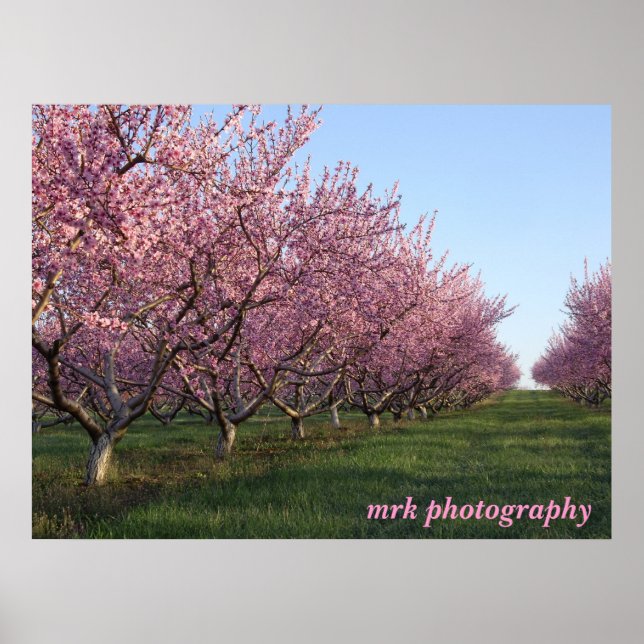 Affiches 158, photographie marc (Devant)