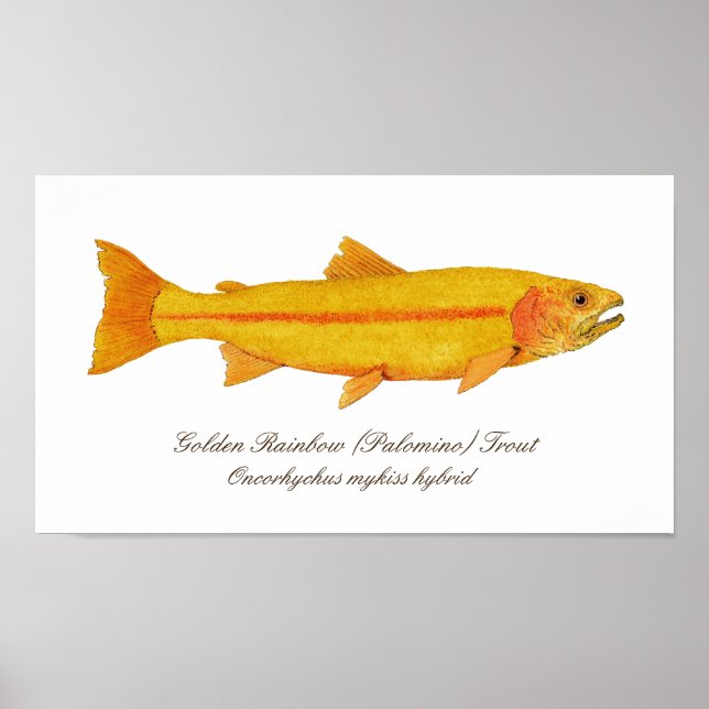 Affiches 16 po x 12 po, papier d'affiche de valeur (Matte) (Devant)