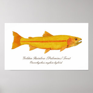 Affiches 16" X12", papier d'affiche de valeur (mat)