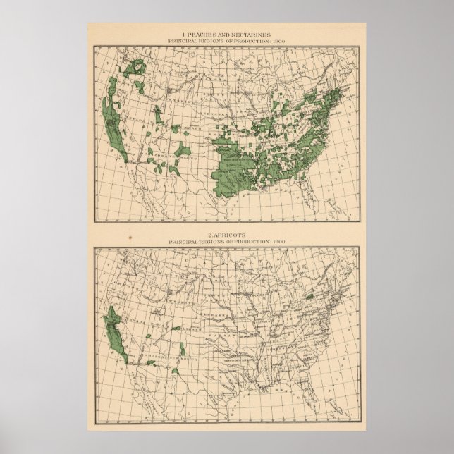 Affiches 176 Pêches, nectarines, abricots (Devant)