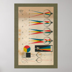 Affiches 1851 diagrammes vintages d'anatomie de vue de