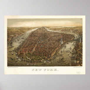 Affiches 1874 New York City NY Oiseaux Vue panoramique