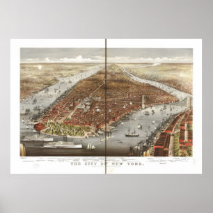 Affiches 1876 New York City NY Oiseaux Vue panoramique