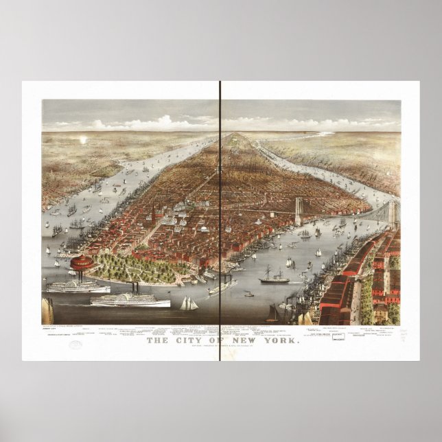 Affiches 1876 New York City NY Oiseaux Vue panoramique (Devant)