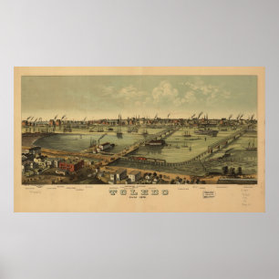 Affiches 1876 Tolède, OH Oiseaux - Carte panoramique