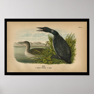Affiches 1890 Loon à imprimer