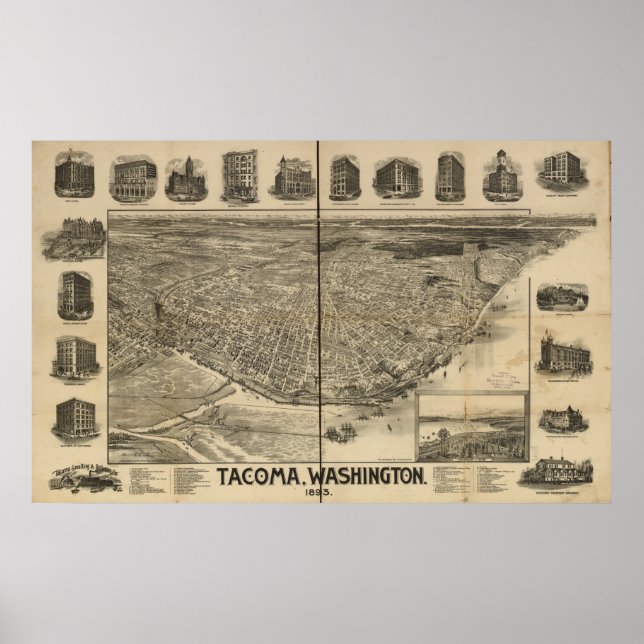Affiches 1893 Tacoma, WA Oiseaux Vue panoramique Carte (Devant)