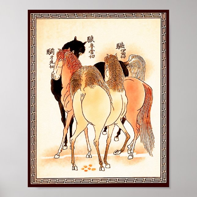 Affiches 18 Chevaux : Appel de la Nature (Devant)