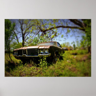 Affiches 1972 Cutlass Soft Focus