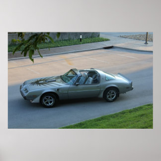 Affiches 1979 10e anniversaire Trans Am