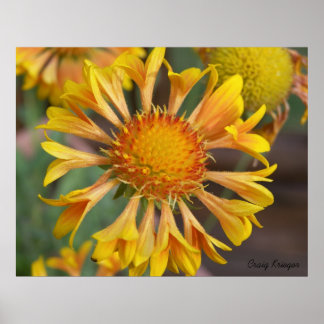 Affiches 2010f_may, Craig Krieger