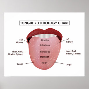 Affiches 20" x 16", Tongue Reflexology Chart (Matte)