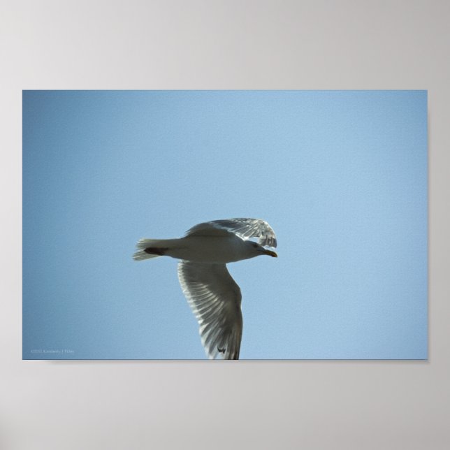 AFFICHES 2367 (Devant)