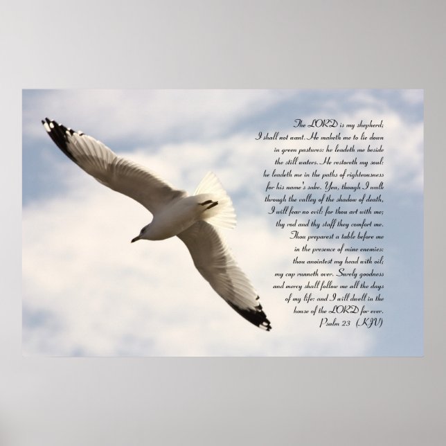 Affiches 23e Verset biblique du Psaume avec la Mouette de M (Devant)