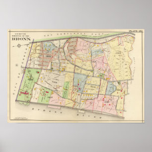 Affiches 25 NW Bronx