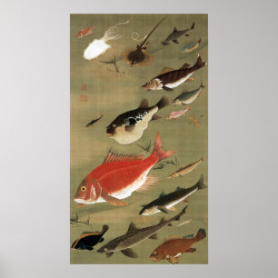 Affiches 28. 群 魚 図, 冲 Divers Poissons, Jakuchu, Japon Art若