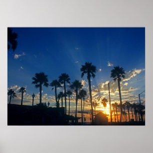 Affiches 28" x 20", papier d'affiche de valeur (mat)