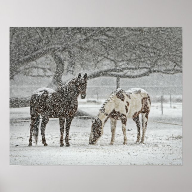 Affiches 2 Horses Outside en hiver (Devant)