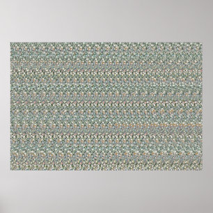 Affiches 36" x 24" "Financial Vision" 3D Magic Eye®