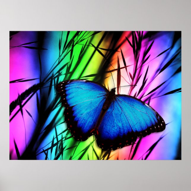 AFFICHES 370729 RAINBOW DIGITAL BUTTERFLY REALISM FICHE D'I (Devant)