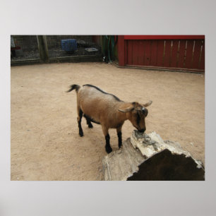 Affiches 3 avril (11) Toile