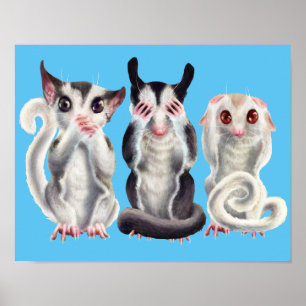 Affiches 3 planeurs sages