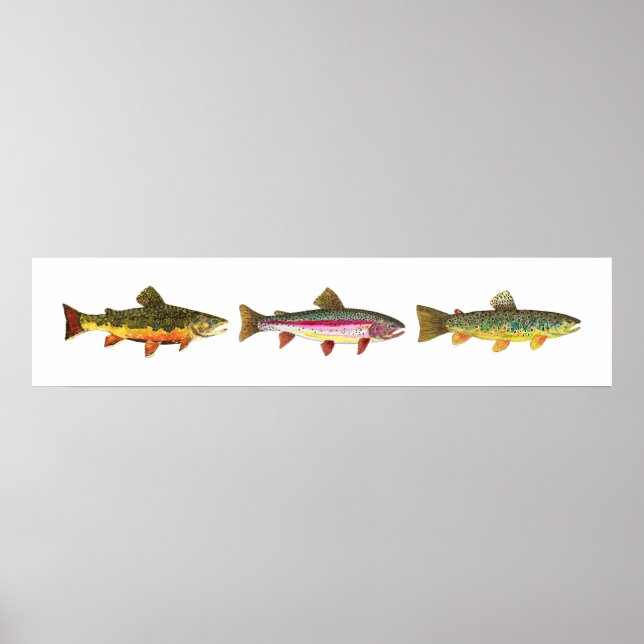 Affiches 3 Truite - Broyage, Brown, Arc-en-ciel Long Hoirzo (Devant)