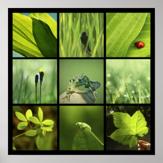 Affiches 3x3 photos vert