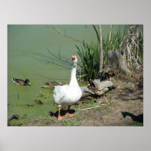 Affiches 4 mars (62) Toile