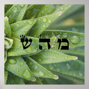 Affiches 5 Guérison - 72 Noms de Dieu