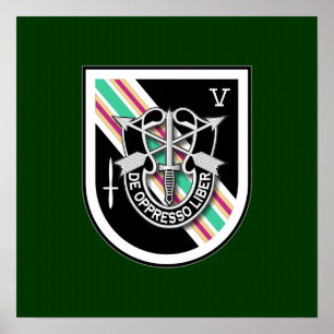 Affiches 5e SFG-A 6 TFD