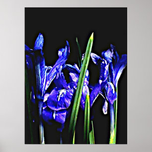 Affiches 72" colossal x 52" et 52" x 72" art de Giclée