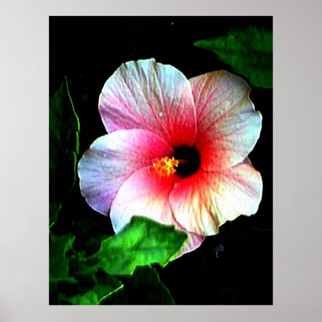 Affiches 72" colossal x 52" et 52" x 72" art de Giclée (Devant)