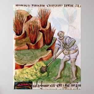 Affiches A la recherche de soufre, Dioscorides 'De Herbis'